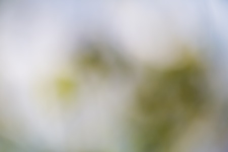 Beautiful abstract background of bokeh lights. Nature bokeh from defocused lens.の写真素材
