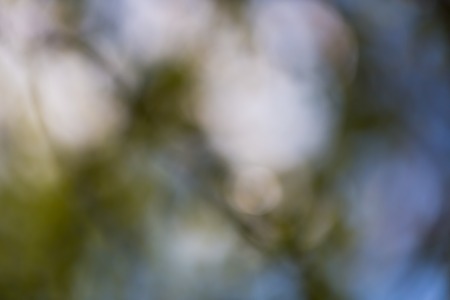 Beautiful abstract background of bokeh lights. Nature bokeh from defocused lens.の写真素材