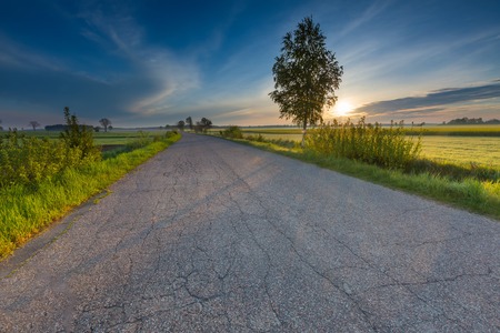 Rural asphalt road near fields in springtime. Calm polish countrysideの写真素材