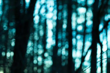 Abstraction of forest blurred background. Colorful defocused picture.の写真素材