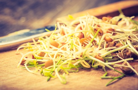 Vintage photo of fresh lentil and wheat sprouts on cutting board. Preparation of fresh salad