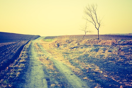Vintage photo of plowed field in calm countryside. Agricultural landscape with old fashioned colorsの写真素材