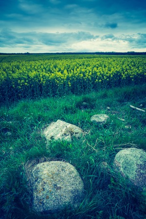 Vintage photo of green springtime meadow landscape with cloudy storm skyの写真素材