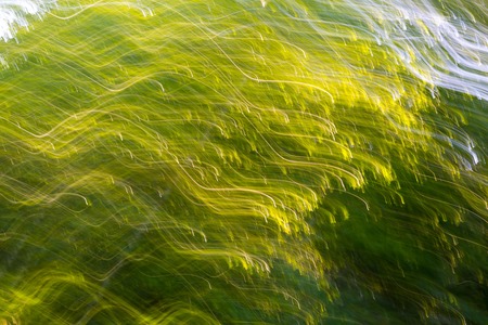 Blurry abstract of green summer forest photographed on long exposure with motion effect.の写真素材