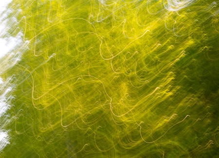 Blurry abstract of green summer forest photographed on long exposure with motion effect.の写真素材