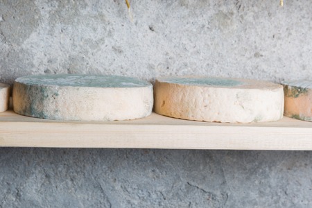 Goat cheese maturing in basement. Studio shoot with mystic light efect.
