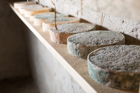 Goat cheese maturing in basement. Studio shoot with mystic light efect.