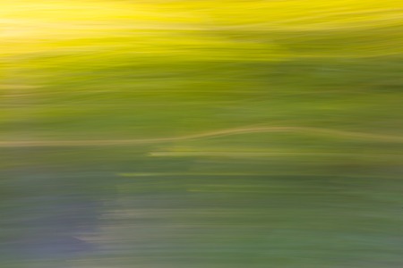 Blurry abstract of green summer forest photographed on long exposure with motion effect.の写真素材