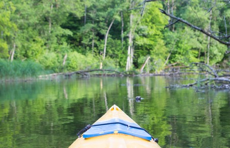 Beautiful Krutynia river landscape photographed from kayak.の写真素材