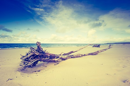 Vintage photo of Baltic sea shore seascape. Seascape photographed near Gdynia in Poland.の写真素材