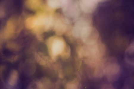 Vintage photo of abstract background of green forest bokeh. Blurry forest backdropの写真素材