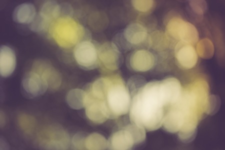 Forest bokeh background with vintage mood effect. Photo useful as backgroundの写真素材