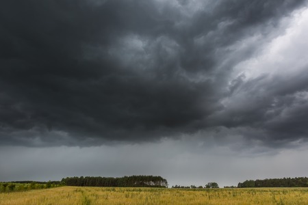 Dark stormy clouds over corn field at summer. の写真素材