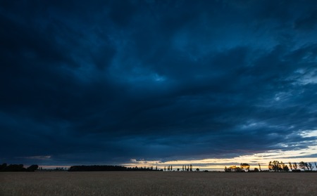 Dark stormy clouds over corn field at summerの写真素材