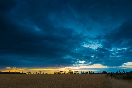 Summer landscape with storm sky over rye field. Frightening dark sky of thunderstorm over landの写真素材