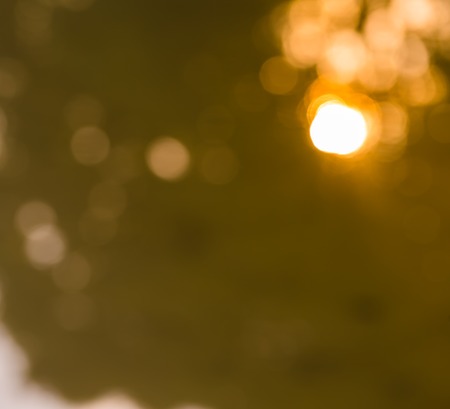 Beautiful colorful bokeh background. Natural defocused background of summer forest or water.の写真素材
