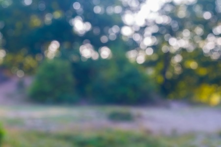 Beautiful colorful bokeh background. Natural defocused background of summer forest or water.の写真素材