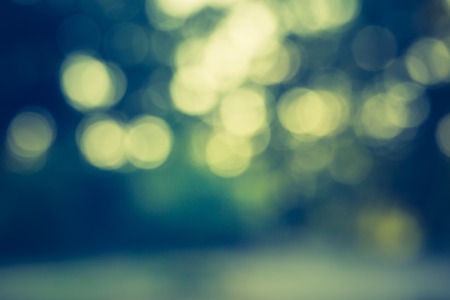 Abstract photo of defocused summer forest, photo useful as background. Vintage mood effect
