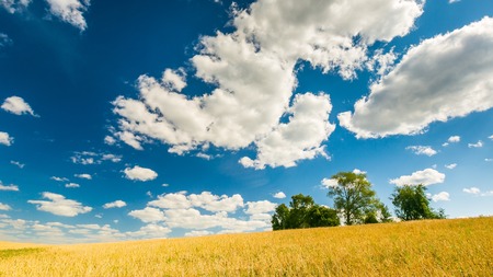 Stubble field under blue sky with white clouds. Summertime landscape. Polish countryside.の写真素材