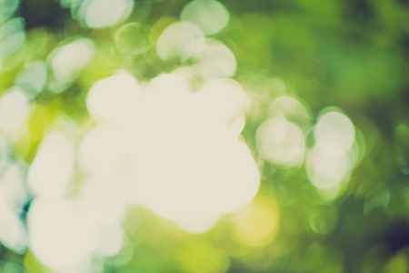 Vintage photo of natural abstract background of defocused forest with bokeh effect.の写真素材