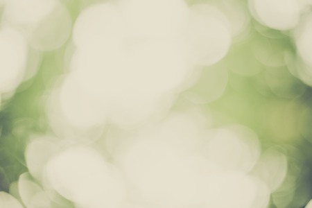 Vintage photo of natural abstract background of defocused forest with bokeh effect.の写真素材