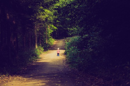 Vintage photo of little boy in forest at summerの写真素材