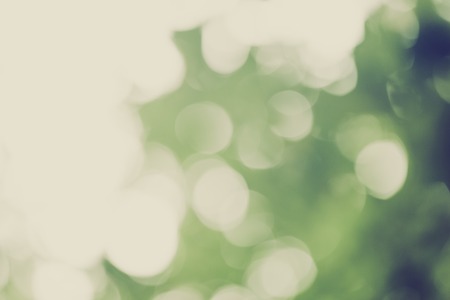 Vintage photo of natural abstract background of defocused forest with bokeh effect.の写真素材