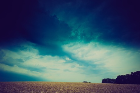 Vintage photo of storm clouds over wheat fieldの写真素材