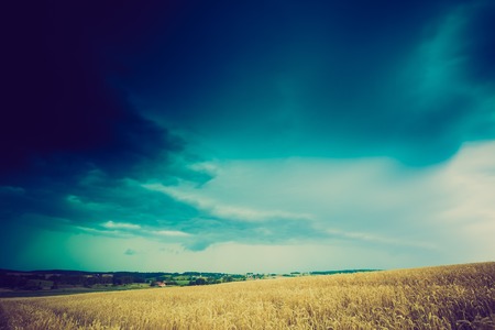 Vintage photo of storm clouds over wheat fieldの写真素材