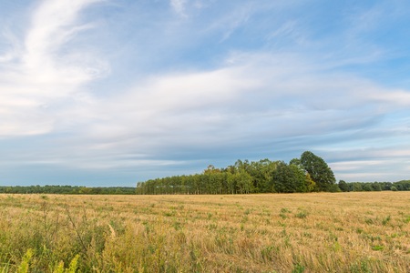 Beautiful after harvest field. Autumnal landscape of polish countryside.の写真素材