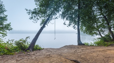 Shore of autumnal foggy lake. Beautiful polish landscape photographed in september at bad weather.の写真素材