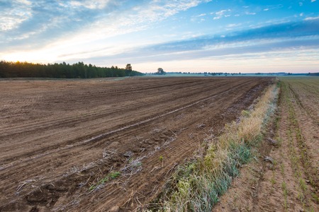 Autumnal plowed field landscape. Morning landscape of polish countryside with plowed field on foreground.の写真素材
