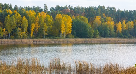 Beautiful landscape of autumnal forest near lake. Distant landscape photographed with tele lens. Autumnal colorful trees.の写真素材