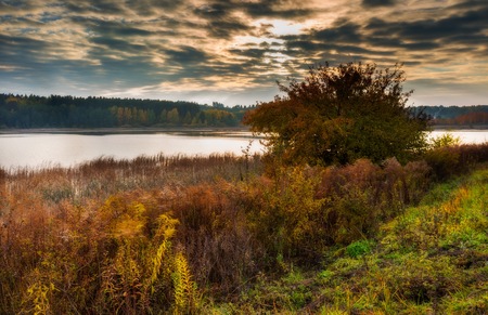 Beautiful autumnal landscape of lake and and colorful plants photographed at sunset. Amazing dreamy landscape.の写真素材