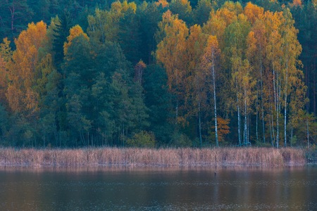 Beautiful landscape of autumnal forest near lake. Distant landscape photographed with tele lens. Autumnal colorful trees.の写真素材