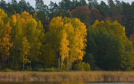 Beautiful landscape of autumnal forest near lake. Distant landscape photographed with tele lens. Autumnal colorful trees.の写真素材