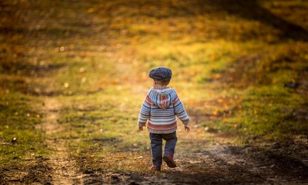 Little boy walking and playing in outdoor near autumnal forest. Caucasian child photographed from behind.の写真素材