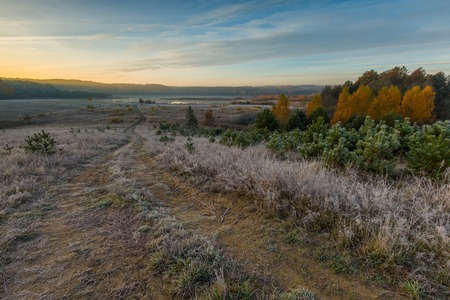 Autumnal cold morning on meadow with hoarfrost on plants and beautiful colors. Polish landscape photographed in late october.の写真素材
