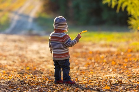 Little boy walking and playing in outdoor near autumnal forest. Caucasian child photographed from behind.の写真素材