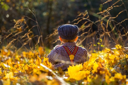 Little boy sitting and playing  in autumnal forest. Caucasian child sitting in fallen maple leaves.の写真素材