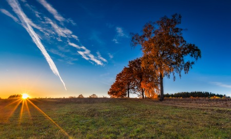 Beautiful autumnal landscape with grassland, trees and road. Tranquil autumnal afternoon.の写真素材