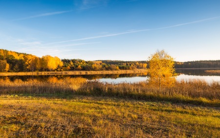 Beautiful autumnal landscape with trees and beautiful countryside photographed at sunset. Amazing dreamy landscape with good light.の写真素材