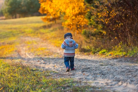 Little boy walking and playing in outdoor near autumnal forest. Caucasian child photographed from behind.の写真素材