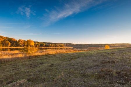 Beautiful autumnal landscape with trees and beautiful countryside photographed at sunset. Amazing dreamy landscape with good light.の写真素材