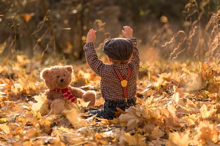 Little boy playing in autumnal forest. Caucasian child on grass and  fallen maple leaves in autumnal forest.の写真素材