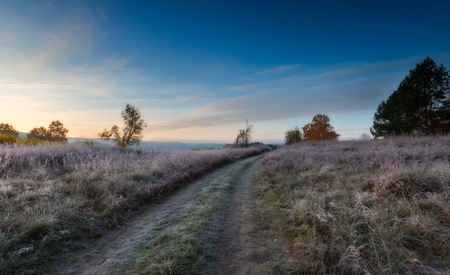 Autumnal cold morning on meadow with hoarfrost on plants and beautiful colors. Polish landscape photographed in late october.の写真素材