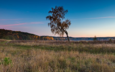 Beautiful autumnal landscape with trees and beautiful countryside photographed at sunset. Amazing dreamy landscape with good light.の写真素材