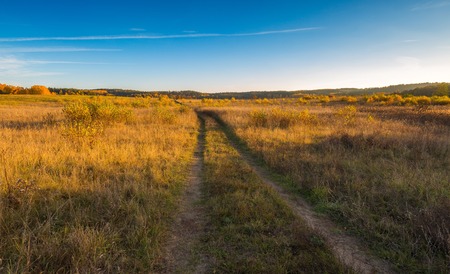 Beautiful autumnal landscape with grassland, trees and road. Tranquil autumnal afternoon.の写真素材