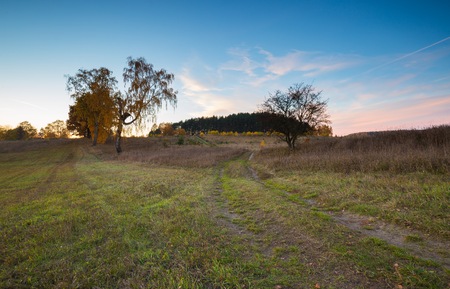 Beautiful autumnal landscape with trees and beautiful countryside photographed at sunset. Amazing dreamy landscape with good light.の写真素材