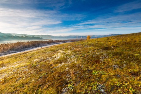 Autumnal cold morning on meadow with hoarfrost on plants and beautiful colors. Polish landscape photographed in late october.の写真素材